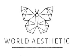 Свідоцтво торговельну марку № 376148 (заявка m202009803): world aesthetic