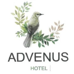 Свідоцтво торговельну марку № 257302 (заявка m201709433): advenus hotel