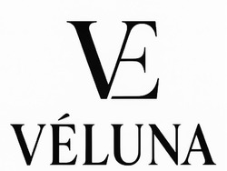 Заявка на торговельну марку № m202523639: veluna