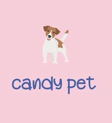 Заявка на торговельну марку № m202422062: candy pet