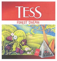Свідоцтво торговельну марку № 148105 (заявка m201017757): tess forest dream