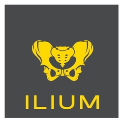 Заявка на торговельну марку № m202522449: ilium