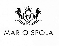 Свідоцтво торговельну марку № 291567 (заявка m201826826): mario spola