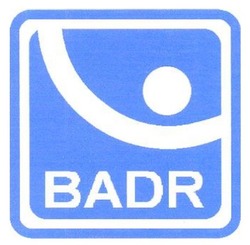 Заявка на торговельну марку № m202524646: badr