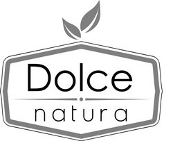 Свідоцтво торговельну марку № 306814 (заявка m202105606): dolce natura