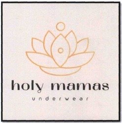 Свідоцтво торговельну марку № 311295 (заявка m202000803): holy mamas underwear
