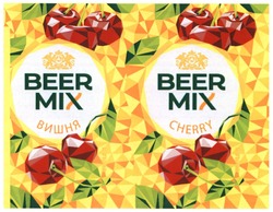 Свідоцтво торговельну марку № 324072 (заявка m202013866): beer mix; cherry; вишня; міх; obolon