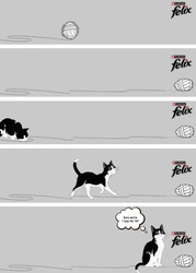 Заявка на торговельну марку № m202517333: без кота і гра не та!; felix; purina