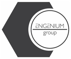 Заявка на торговельну марку № m202403583: engenium group