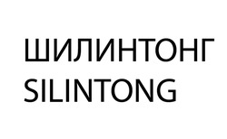 Заявка на торговельну марку № m202127730: silintong; шилинтонг
