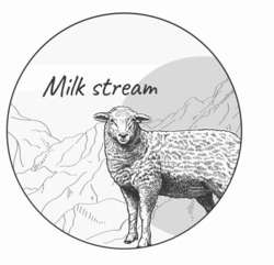 Заявка на торговельну марку № m202128968: milk stream