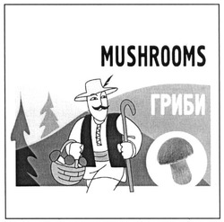 Свідоцтво торговельну марку № 236647 (заявка m201612882): mushrooms; гриби
