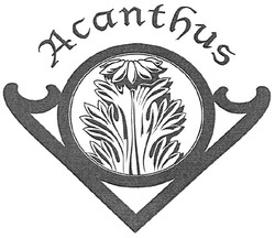 Свідоцтво торговельну марку № 113905 (заявка m200809008): acanthus