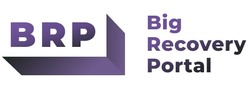 Заявка на торговельну марку № m202413305: brp; big recovery portal