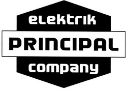 Заявка на торговельну марку № m201104145: elektrik principal company