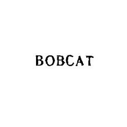 Свідоцтво торговельну марку № 3291 (заявка 126771/SU): bobcat вовсат