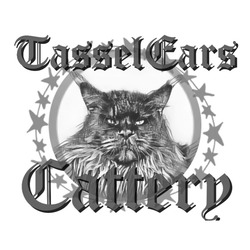 Заявка на торговельну марку № m202212992: tasselears cattery