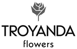 Заявка на торговельну марку № m202422230: troyanda flowers