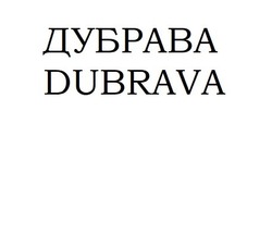 Свідоцтво торговельну марку № 320048 (заявка m202021645): dubrava; дубрава