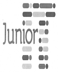 Свідоцтво торговельну марку № 258862 (заявка m201708256): junior; it; іт