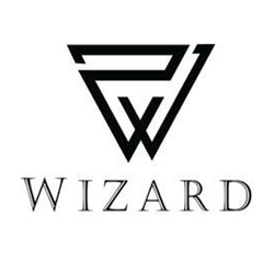 Заявка на торговельну марку № m202510237: wd; dw; wizard