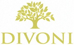 Заявка на торговельну марку № m201201182: divoni