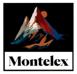 Заявка на торговельну марку № m202421505: montelex