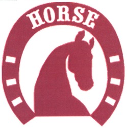 Свідоцтво торговельну марку № 78843 (заявка m200513907): horse