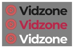Заявка на торговельну марку № m202404666: vidzone