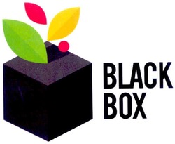 Свідоцтво торговельну марку № 159926 (заявка m201117603): black box