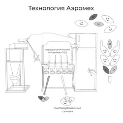 Заявка на торговельну марку № m202126296: технология аэромех; аэродинамический сепаратор сад; высокоурожайные семена