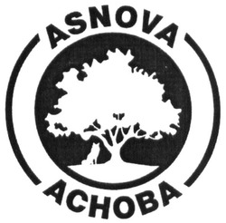 Заявка на торговельну марку № m201829399: asnova; achoba; аснова