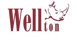 Свідоцтво торговельну марку № 314077 (заявка m202005071): wellton