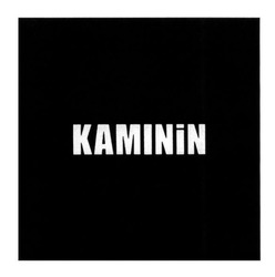 Свідоцтво торговельну марку № 203615 (заявка m201410016): kaminin