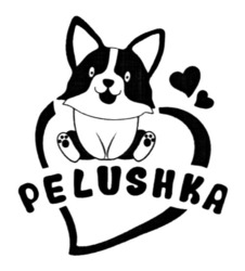 Заявка на торговельну марку № m202304624: pelushka