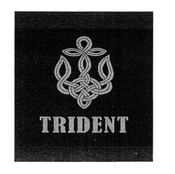 Свідоцтво торговельну марку № 288146 (заявка m201825026): trident