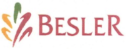 Свідоцтво торговельну марку № 156765 (заявка m201009778): besler