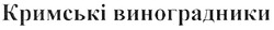 Заявка на торговельну марку № m200903317: кримські виноградники