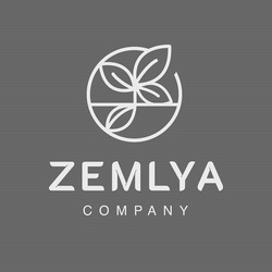 Заявка на торговельну марку № m202401280: zemlya company