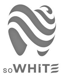 Заявка на торговельну марку № m202304533: so white