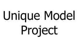 Заявка на торговельну марку № m202422130: unique model project