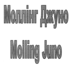 Заявка на торговельну марку № m201501707: molling juno; моллінг джуно