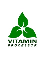 Свідоцтво торговельну марку № 339941 (заявка m202121365): vitamin processor