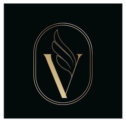 Заявка на торговельну марку № m202509444: v