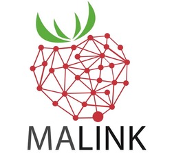 Заявка на торговельну марку № m202020732: malink