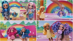 Заявка на торговельну марку № m202508405: littles; rainbow high