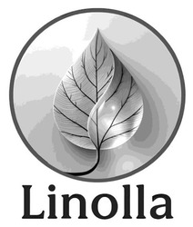 Заявка на торговельну марку № m202507859: linolla