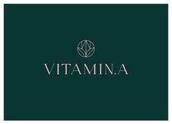 Заявка на торговельну марку № m202314206: vitamina; vitamin.a