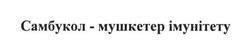 Заявка на торговельну марку № m201619057: самбукол-мушкетер імунітету