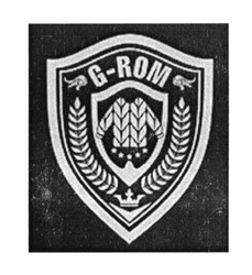 Свідоцтво торговельну марку № 283824 (заявка m201819913): g-rom; g rom